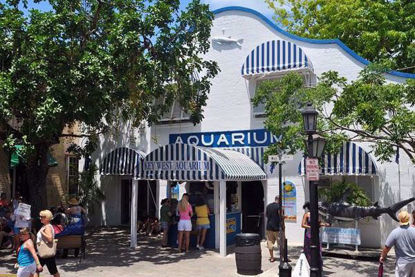 Key West Aquarium