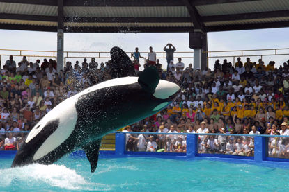 Miami Seaquarium
